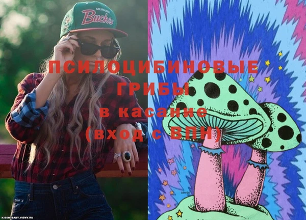 apvp Тобольск